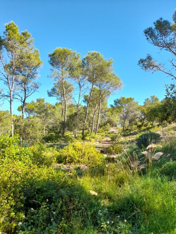 Studio Du Roc Des Garrigues Langlade ภายนอก รูปภาพ
